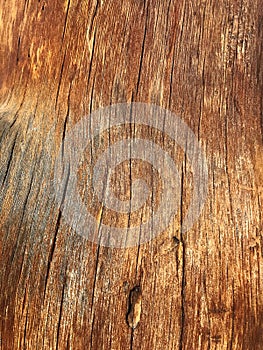 Old cracked wooden textured background.