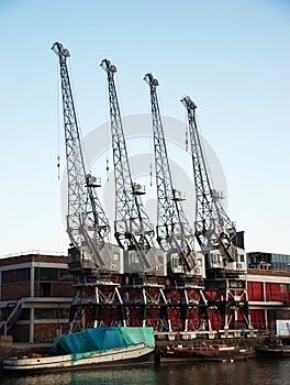 Old cranes