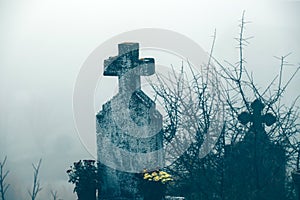 Old creepy graveyard in mist. Halloween background