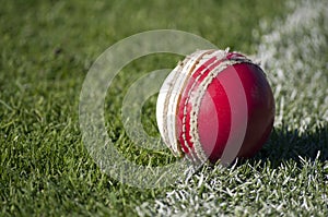 Old cricket ball