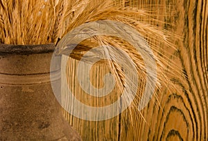 Old crock with a bunch of wheat ears photo