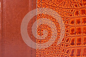 Old crocodile leather texture