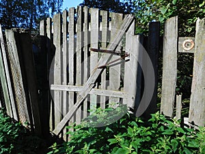 Old crooked fence and a wicket