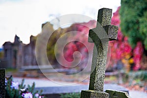 Old Cross in the Autumn Cemetery photo