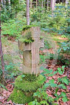 Old cross on a forgotten forest trail.