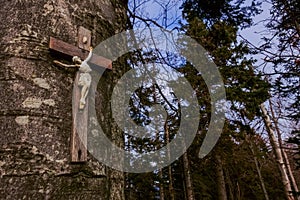 old cross with jesus on a singe tree while hiking in the mountains