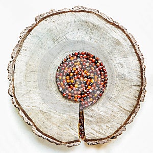 Old cross-section of a tree trunk with a crack and spiral of faceted agate beads looks like a tree. Isolated on white background