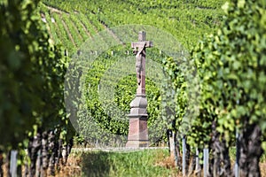 Old Cross in the Vineyard, France