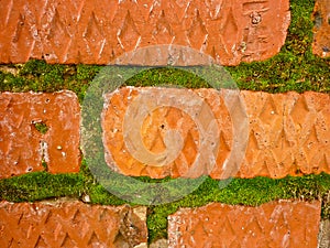 Old crumbling brickwork, mossy bricks