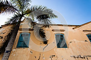 Old crumbling building with palm tree