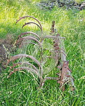 Old Cultivator Buried in Grass