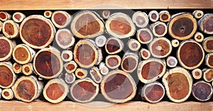 Old cutting wood arrange in row show brown log surface as nature backdrop - Home interier design photo