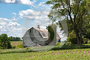 Old Dairy Barn