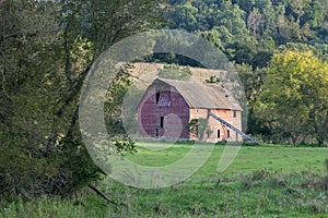 Old Dairy Barn and Field