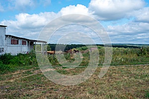 Old dairy farm in the village