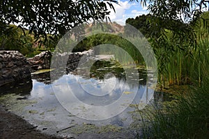 Old dam at Mission Trail in San Diego