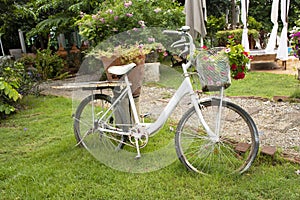 Old and damaged bicycle exterior decoration furniture of garden outdoor for travelers travel visit and relax rest at resort hotel