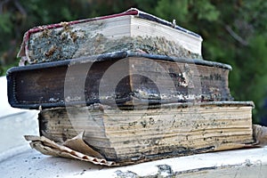 Old damaged books