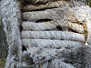 Old damaged ship rope
