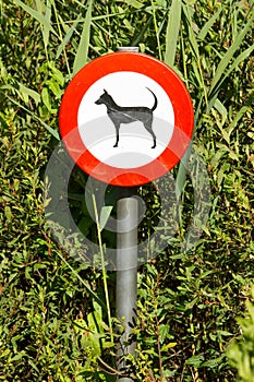 Old damaged sign in the bushes - dogs forbidden