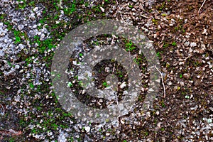 old and damaged walls