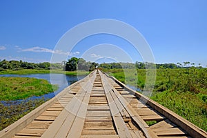 Old damaged wooden bridge on the transpantaneira dirt road with Pantanal wetland, Porto Jofre, Mato Grosso, Brazil