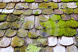 Old damaged wooden roof covered by moss