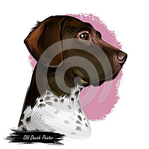 Old Danish pointer dog with spots on short fur isolated digital art. Pet originated from Denmark Scandinavian puppy photo