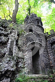 old dark castle in the green forest