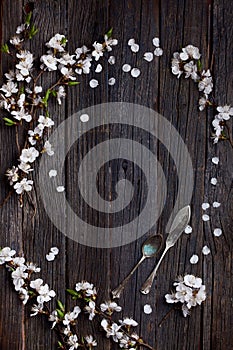 Old dark rustic wooden table surface with white spring blossom flowers and antique silver dishware