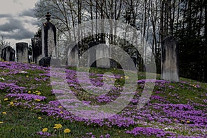 An old, dark, spooky graveyard on a hill