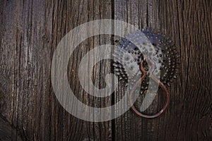 Old dark wooden door with handle