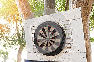 Old dart hit the mark on the darts board on the tree