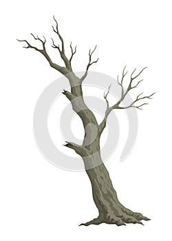 Old dead tree. Hand draw leafless trunk. Winter or autumn season plants icon, dry naked branch silhouette. Nature