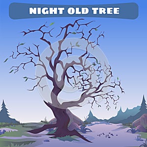 Old dead tree at night