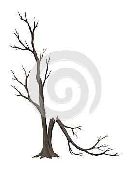 Old dead tree, rough spooky bark, dry naked branch silhouette. Vector scary forest, leafless trunk. Nature ecology