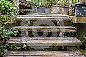 Old decay wood stairs up in garden