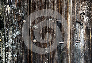 Old boards with rusty nails