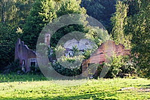 Old decayed ruin in the forest
