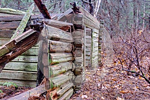 Old decayed shack made of logs