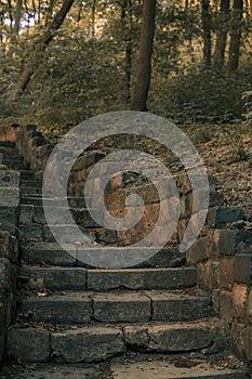 Old decayed stone stairs in wood land outdoor environment space mark of abandoned civilization object in wilderness place vertical