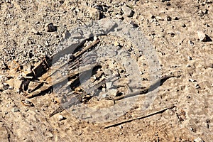 Old decomposed wooden row boat on the bottom of loosed lake