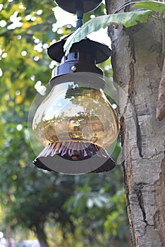 A old decorative lantern hung in a tree