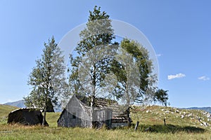 The old, delapidated abandoned shepherds traditionally built wooden huts