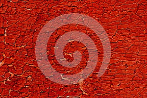 Old dense cracky paint.