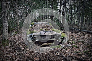 Old, Derelict Car In The Forest