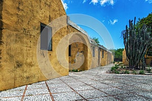 Old derelict house with trees and garden on island Bonaire