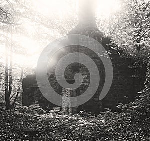 An old derelict mill building in the woods