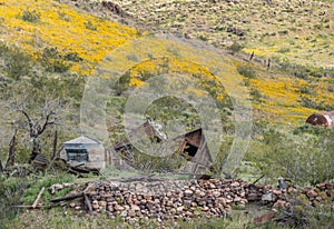 Old deserted homestead, Oatman, Arizona