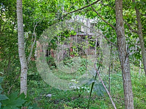 old and destroyed brick building in the forest.
